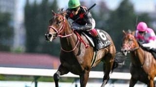 【クローバー賞結果】未勝利馬ストームサンダーが4馬身差完勝