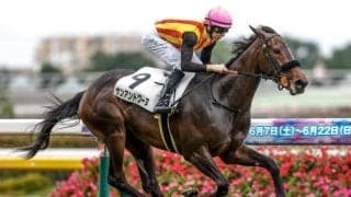 【新潟2歳S予想】距離や間隔がポイント！ 前走のパフォーマンスを信頼しにくい人気馬とは