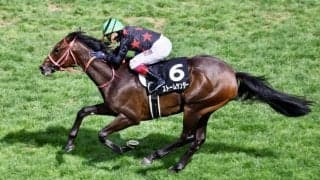 【クローバー賞】A.バデル騎乗 ストームサンダーが格上相手に4馬身差圧勝の初勝利