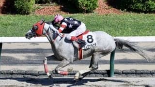 【札幌8R】C.ウィリアムズ騎乗 ビッグベルーガが早め先頭から押し切る