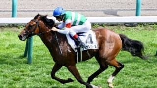 【新馬/札幌5R】単勝1.2倍グリオンヴールが7馬身差圧勝