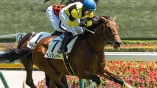 新潟芝は外差し優勢 新潟2歳Sはサノノグレーターの差し切りだ