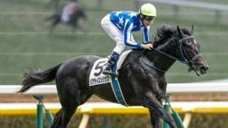 【新潟2歳S前日オッズ】リアライズシリウスが2.6倍で1番人気