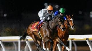 【門別・ブリーダーズGC枠順】通算9戦8勝のオーサムリザルトは3枠3番