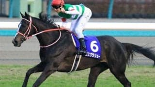 叔母は名牝リスグラシュー ルージュダリアがデビュー勝ちなるか