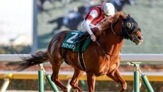 【AI予想・キーンランドC】秋の大舞台へ弾みをつける！ 人工知能は安定感抜群の古豪に期待