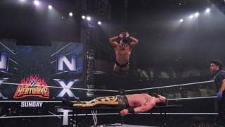 「お見事」人気日本人レスラー、決死の特大ジャンプでテーブル“真っ二つ”…壮絶マッチに観客大歓声「気合い入ってる！」