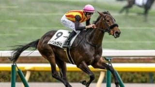 【新潟2歳S予想】世代最初のマイル重賞に素質馬が集結 左回りを経験していた馬が優勢か