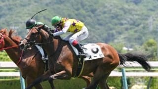 【競馬予想】新潟２歳Ｓで馬券圏内に入るには条件がある--それをクリアした穴馬候補