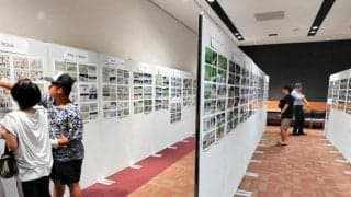 夏の高校野球、大阪大会の熱戦振り返る　記者撮影の写真展、始まる