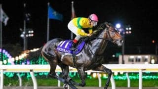 【川崎・スパーキングサマーC枠順】無傷5連勝中のベアバッキューンは6枠6番 7頭立て