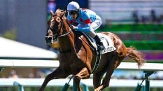 【札幌5R新馬戦結果】ミスティックレナンが逃げ切り勝ち クラックスマン産駒のJRA初勝利