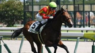 【中京5R新馬戦結果】モーリス産駒ソラーロが押し切りV