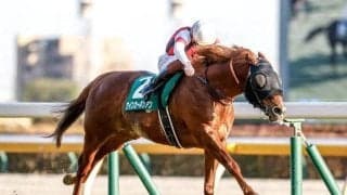 【キーンランドC・馬体重】ウインカーネリアンは512kg、パンジャタワーは488kg(+8)