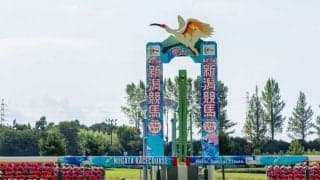 【新潟8R】ロフティストーリーが鮮やかな差し切りV