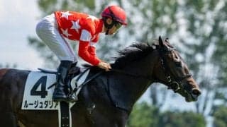 【新潟6R】ルージュダリアが5馬身差圧勝