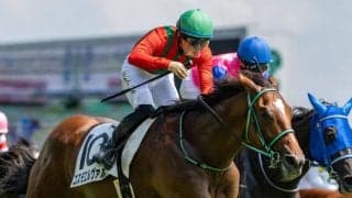 【新馬/新潟5R】コスモエルヴァルVで原優介騎手はJRA通算100勝達成
