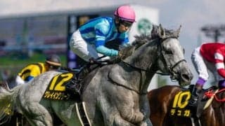 【朱鷺S】ディープ産駒グレイイングリーンが約3年半ぶりV