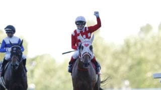 【WASJ・第4戦】ウィリアムズ騎乗 ピンクジンがゴール前の接戦を制する