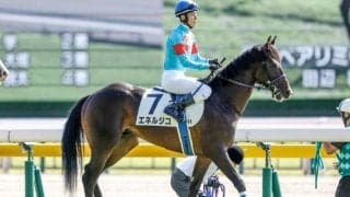 好メンバー揃う新潟記念と中京2歳S/今週の競馬界の見どころ
