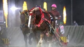 【ばんえい・はまなす賞】スーパーシンが重賞2勝目…藤野「我慢してくれた」