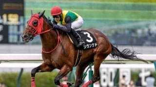 【新潟記念見どころ】前走が好内容のシランケドが重賞2勝目を奪取する