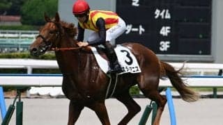 【中京2歳S見どころ】前走が圧巻の強さだったスターアニスに注目