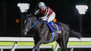 【船橋・フリオーソLC枠順】オープン圧勝のサントノーレは1枠1番