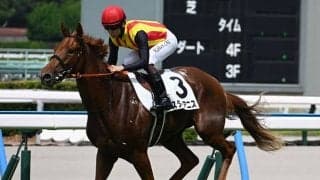 【中京2歳S想定騎手】スターアニスは松山弘平騎手、パープルガーネットは吉村誠之助騎手