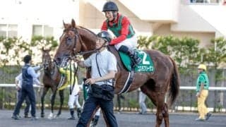 「サマー2000シリーズ」のゆくえは新潟記念で決まる 優勝馬が出れば4年ぶり