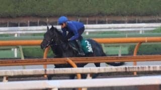 友道厩舎の2歳世代が動き出す レッドラージャが日曜中京で初陣/関西馬メイクデビュー情報