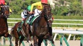 カラテが魅せた前走16着からの復活劇 22年の新潟記念を振り返る