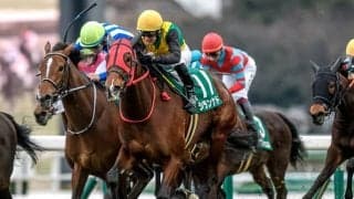 【AI予想・新潟記念】例年以上の豪華メンバーが集結！ 人工知能は近走の充実ぶりが目立つ3頭に高評価