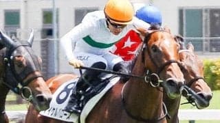 【中京2歳S】「2代目」マイケルバローズ 初代が果たせなかった重賞制覇なるか