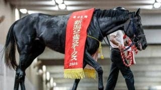 ファーストシーズンサイアーランキング2位と勢い見せる「父ポエティックフレア」 リアライズシリウスが新潟2歳S制覇