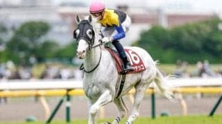 8月26日からハヤヤッコの見学開始 ノーザンホースパークが公式Xで発表