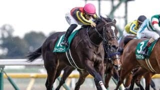 【新潟記念展望】名物ハンデ重賞が別定戦に変わって豪華メンバーが揃う一戦