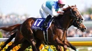 アドマイヤマーズの母父でもある「メディシアン」 血統表でよく見る名馬を深掘り