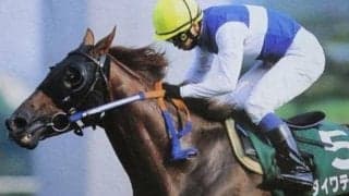 今年から別定戦となった新潟記念 ハンデ戦時代に59kgで勝利したダイワテキサス