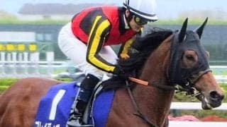 【新潟記念】23年エリザベス女王杯覇者 ブレイディヴェーグが復活Vなるか