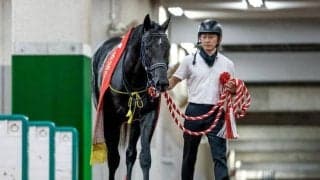 【新潟2歳S】売上は38億9352万2300円で昨年より約5億円減少