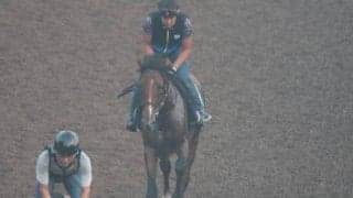 アルメーリヒの2023(アルメーリス)など、先週のゲート試験/栗東トレセンニュース