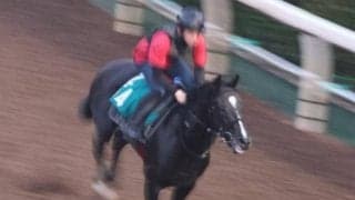 バドリナートなど、先週の入厩情報/栗東トレセンニュース