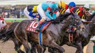 【新潟記念】レース史上初の無敗戴冠なるか 青葉賞覇者のエネルジコが参戦