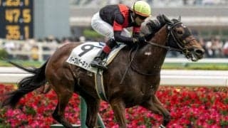 【中京2歳S】一族に22年ぶりのタイトルを届けるか パープルガーネットが無敗戴冠狙う