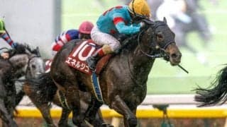 【新潟記念予想オッズ】エネルジコが予想1番人気