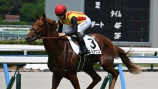 【中京2歳S予想オッズ】スターアニスが予想1番人気