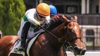 【中京2歳S展望】マイケルバローズが初代王者に輝く