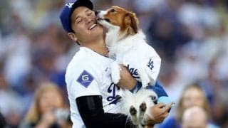 「ワンコの気持ちよく分かります」大谷翔平&デコピンのCMに大きな反響「MLB公式さん最高すぎる！ありがとう」