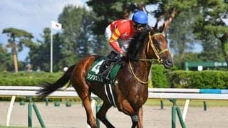 【新潟記念】シンリョクカがレース史上2頭目の連覇にチャレンジ